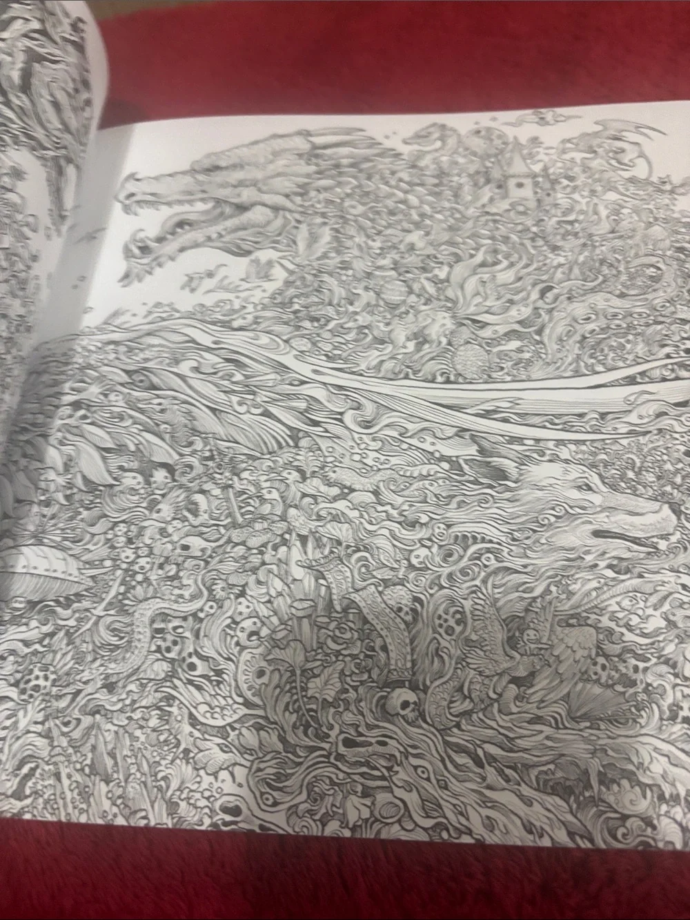 The 10-Year Celebration Coloring Book n fourth wing extrem coloring